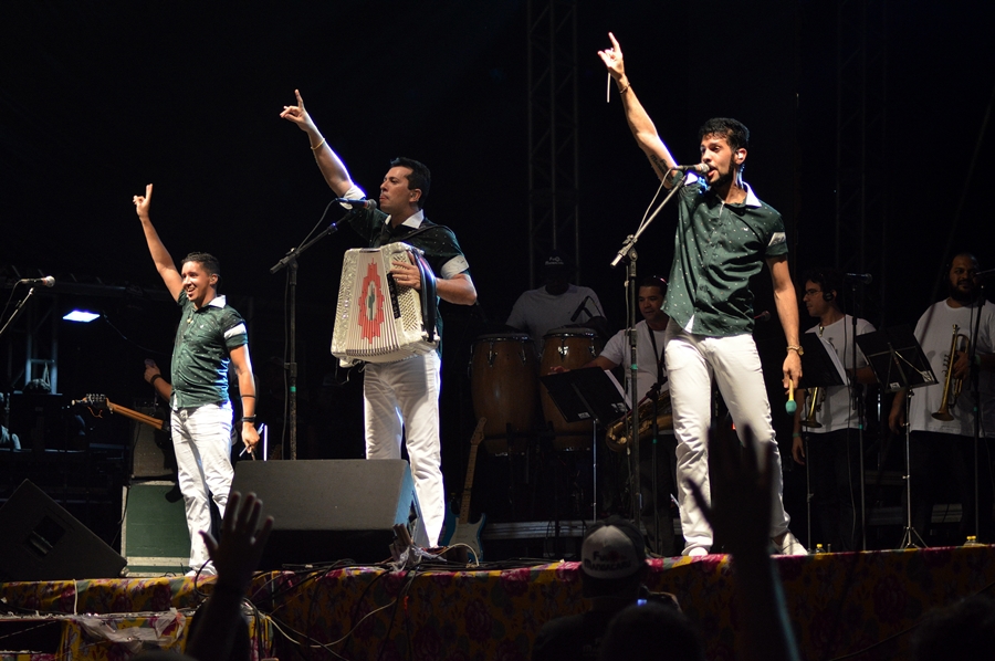 Fulô de Mandacaru. Foto: Gilvan Silva