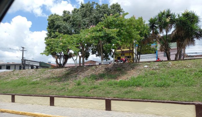 WhatsApp Image 2022-03-09 at 15.54.54