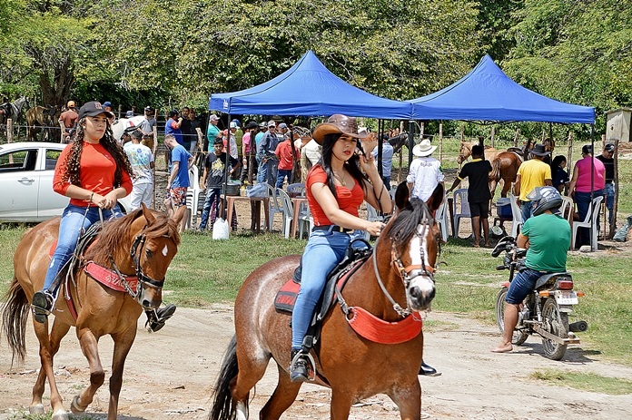 VI Feira do Cavalo da Maia