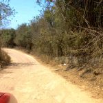 Prefeitura atende pedido de Adeildo do Abacaxi e melhora estrada do Sítio Caruá